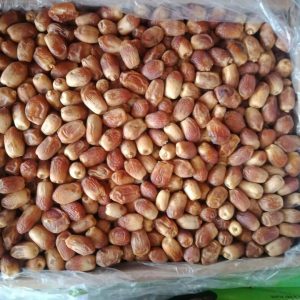 Zahdi Irani Dates 500gram Tray Pack