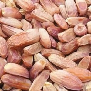 Sakhal Dates (بغیر گٹھلی والی) 1kg Pack